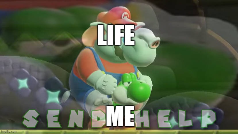 elephant mario rides yosh | LIFE; ME | image tagged in elephant mario rides yosh | made w/ Imgflip meme maker