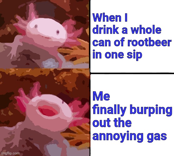 Hmmmmmmm | When I drink a whole can of rootbeer in one sip; Me finally burping out the annoying gas | image tagged in axolotl drake | made w/ Imgflip meme maker