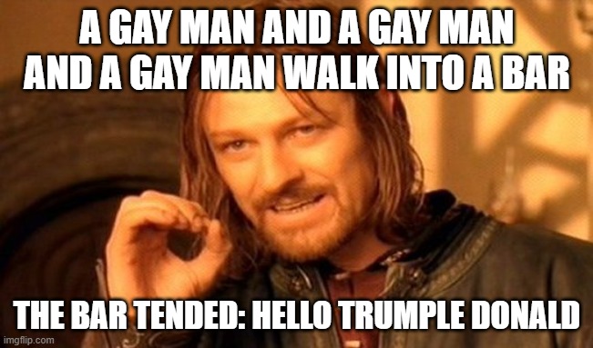One Does Not Simply | A GAY MAN AND A GAY MAN AND A GAY MAN WALK INTO A BAR; THE BAR TENDED: HELLO TRUMPLE DONALD | image tagged in memes,one does not simply | made w/ Imgflip meme maker