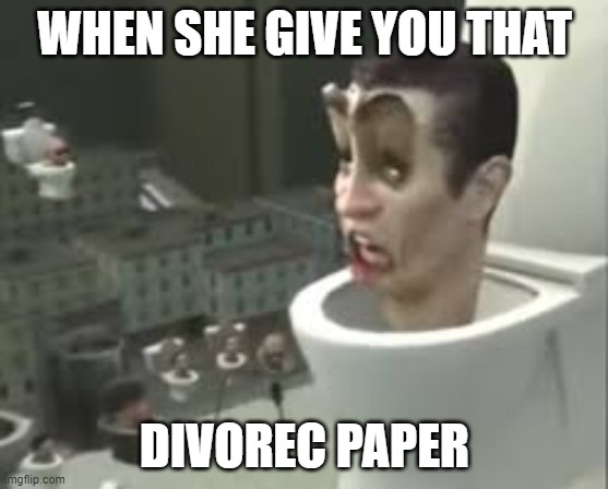 Skibidi toilet meme | WHEN SHE GIVE YOU THAT; DIVOREC PAPER | image tagged in skibidi toilet meme | made w/ Imgflip meme maker