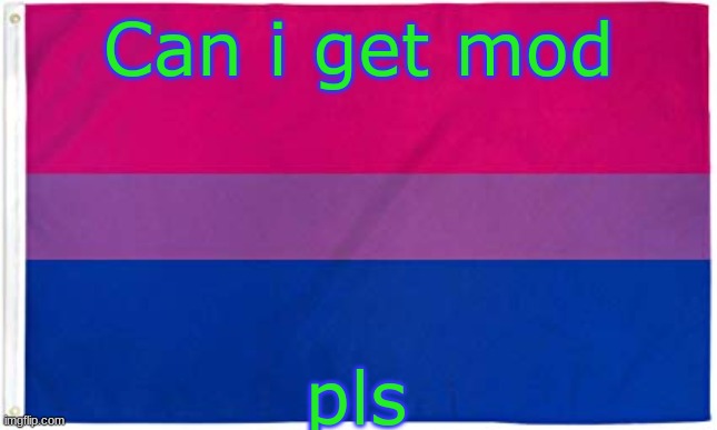 Bisexual Flag | Can i get mod; pls | image tagged in bisexual flag | made w/ Imgflip meme maker