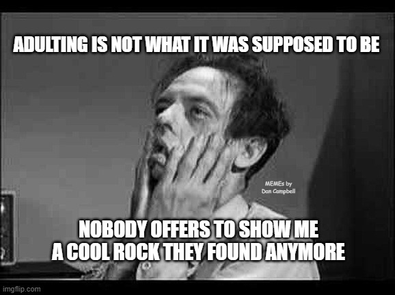 Exasperation | ADULTING IS NOT WHAT IT WAS SUPPOSED TO BE; MEMEs by Dan Campbell; NOBODY OFFERS TO SHOW ME A COOL ROCK THEY FOUND ANYMORE | image tagged in exasperation | made w/ Imgflip meme maker