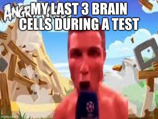My last 3 brain cells | MY LAST 3 BRAIN CELLS DURING A TEST | image tagged in funny memes | made w/ Imgflip meme maker