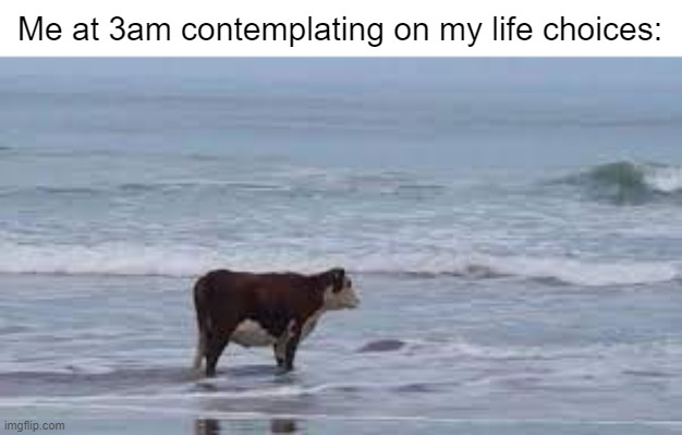 I'm 15 years old and I've already wasted my whole life :D | Me at 3am contemplating on my life choices: | image tagged in lonely cow,memes,relatable,funny,sad but true,oh wow are you actually reading these tags | made w/ Imgflip meme maker