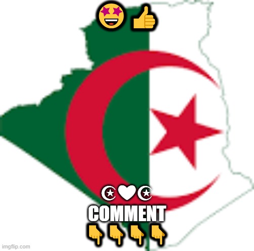 wow | 🤩👍; ☪❤☪
COMMENT
👇👇👇👇 | image tagged in algeria | made w/ Imgflip meme maker