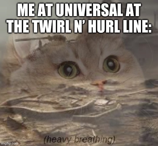 ME AT UNIVERSAL AT THE TWIRL N’ HURL LINE: | image tagged in universal studios | made w/ Imgflip meme maker
