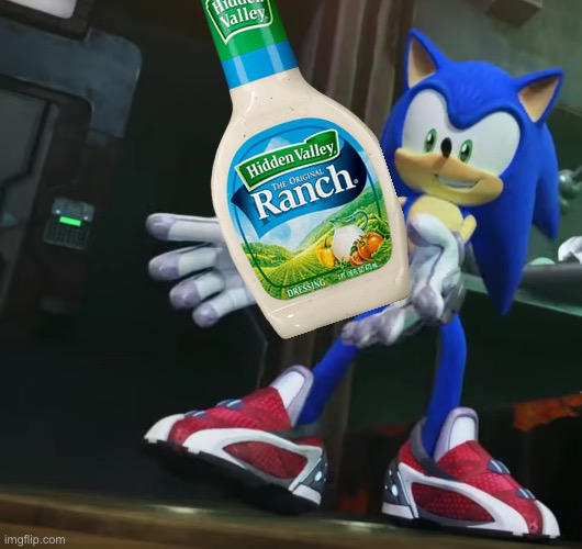 Sonic receiving | image tagged in sonic receiving | made w/ Imgflip meme maker