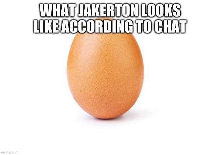 Eggbert | WHAT JAKERTON LOOKS LIKE ACCORDING TO CHAT | image tagged in eggbert | made w/ Imgflip meme maker