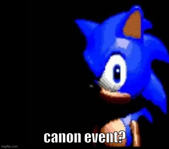 Sonic stares | canon event? | image tagged in sonic stares | made w/ Imgflip meme maker