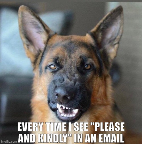 Email phrases | EVERY TIME I SEE "PLEASE AND KINDLY" IN AN EMAIL | image tagged in k-9 | made w/ Imgflip meme maker
