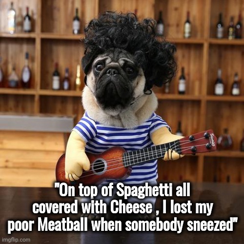Ukelele Pug | "On top of Spaghetti all covered with Cheese , I lost my poor Meatball when somebody sneezed" | image tagged in ukelele pug | made w/ Imgflip meme maker