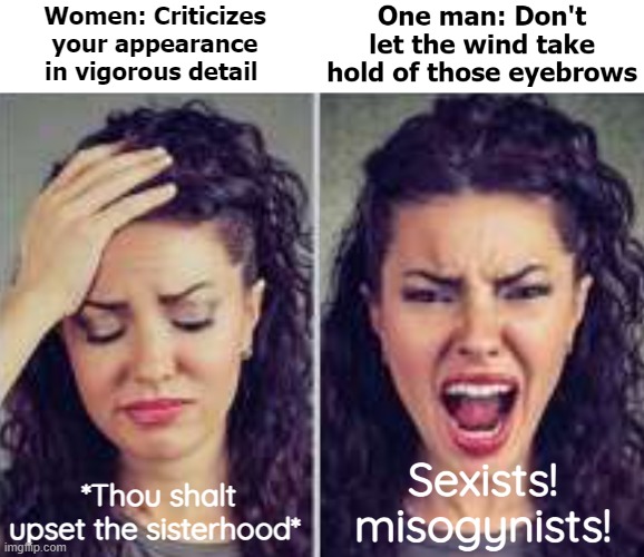 Women: Criticizes your appearance in vigorous detail; *Thou shalt upset the sisterhood* | image tagged in funny | made w/ Imgflip meme maker