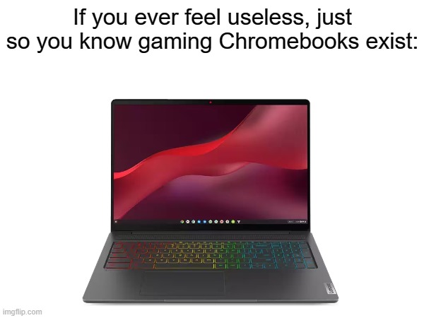 Who tf give them privileges to exist | If you ever feel useless, just so you know gaming Chromebooks exist: | image tagged in memes,gaming,pc gaming | made w/ Imgflip meme maker