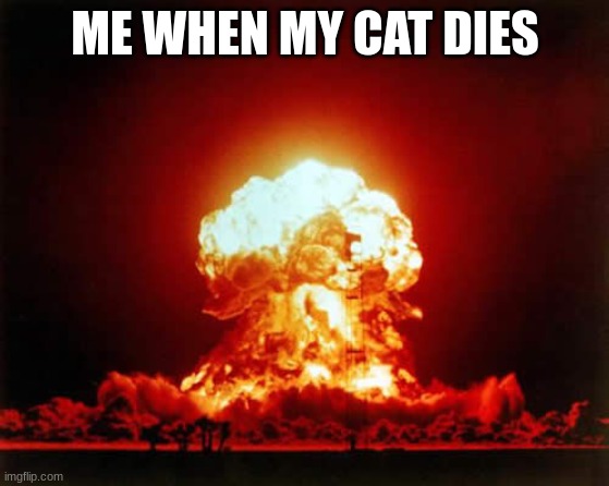 Nuclear Explosion Meme | ME WHEN MY CAT DIES | image tagged in memes,nuclear explosion | made w/ Imgflip meme maker