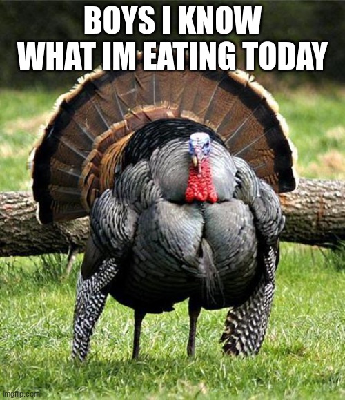 chunky turkey | BOYS I KNOW WHAT IM EATING TODAY | image tagged in thanksgiving day | made w/ Imgflip meme maker