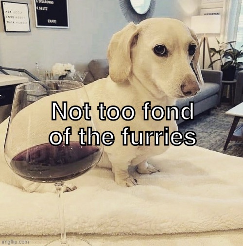 not too fond dog | Not too fond of the furries | image tagged in not too fond dog | made w/ Imgflip meme maker