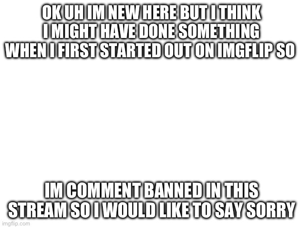 I just wanna get my comments back man | OK UH IM NEW HERE BUT I THINK I MIGHT HAVE DONE SOMETHING WHEN I FIRST STARTED OUT ON IMGFLIP SO; IM COMMENT BANNED IN THIS STREAM SO I WOULD LIKE TO SAY SORRY | made w/ Imgflip meme maker