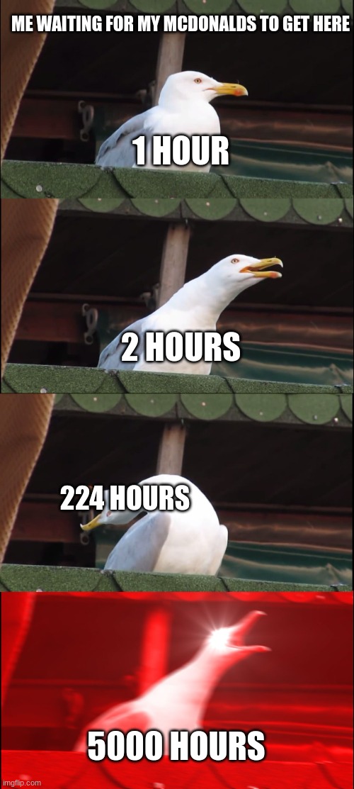 Inhaling Seagull | ME WAITING FOR MY MCDONALDS TO GET HERE; 1 HOUR; 2 HOURS; 224 HOURS; 5000 HOURS | image tagged in memes,inhaling seagull | made w/ Imgflip meme maker