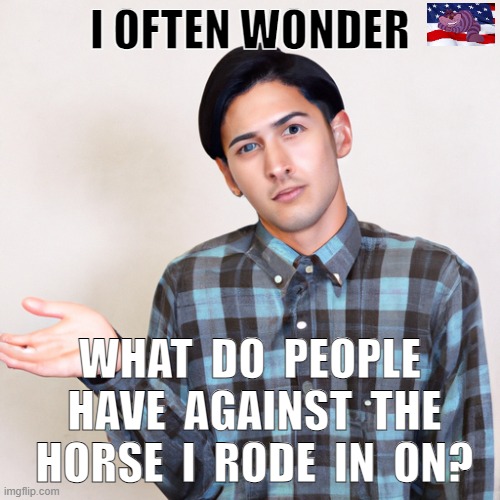 One of life's questions | I OFTEN WONDER; WHAT  DO  PEOPLE  HAVE  AGAINST  THE  HORSE  I  RODE  IN  ON? | image tagged in ai why | made w/ Imgflip meme maker