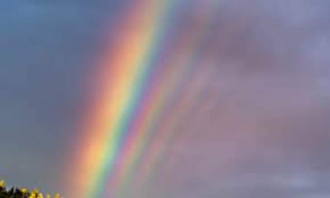 quintuple rainbow found on canada, toronto, 17, november, 2023. | image tagged in quintuple rainbow,rainbow,quintuple,funny,memes | made w/ Imgflip meme maker