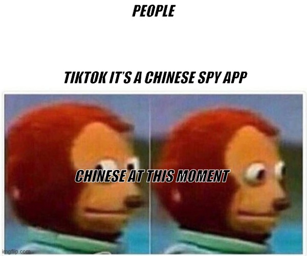 Monkey Puppet Meme | PEOPLE; TIKTOK IT’S A CHINESE SPY APP; CHINESE AT THIS MOMENT | image tagged in memes,monkey puppet | made w/ Imgflip meme maker