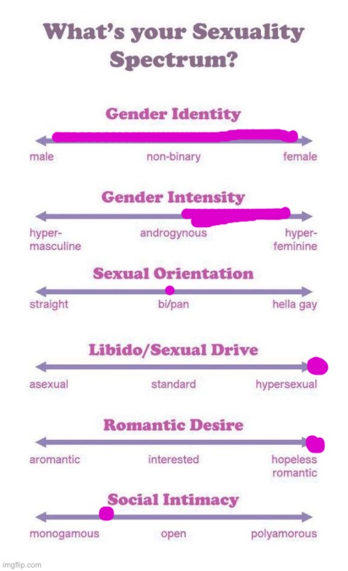 i want all the gender | image tagged in what's your sexuality spectrum | made w/ Imgflip meme maker