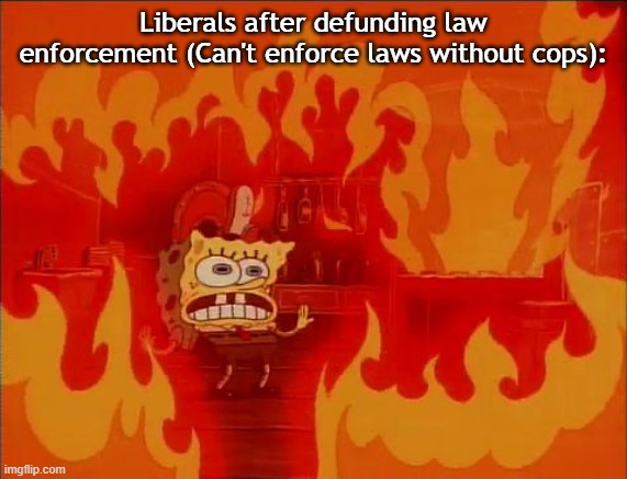 I prefer cops policing us than the military | Liberals after defunding law enforcement (Can't enforce laws without cops): | image tagged in burning spongebob,joke | made w/ Imgflip meme maker