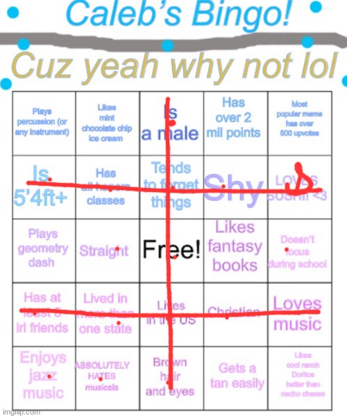 My irl friend did this on my chromebook | image tagged in caleb s bingo | made w/ Imgflip meme maker