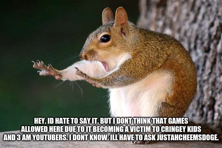 Squirrel no | HEY. ID HATE TO SAY IT. BUT I DONT THINK THAT GAMES ALLOWED HERE DUE TO IT BECOMING A VICTIM TO CRINGEY KIDS AND 3 AM YOUTUBERS. I DONT KNOW | image tagged in squirrel no | made w/ Imgflip meme maker