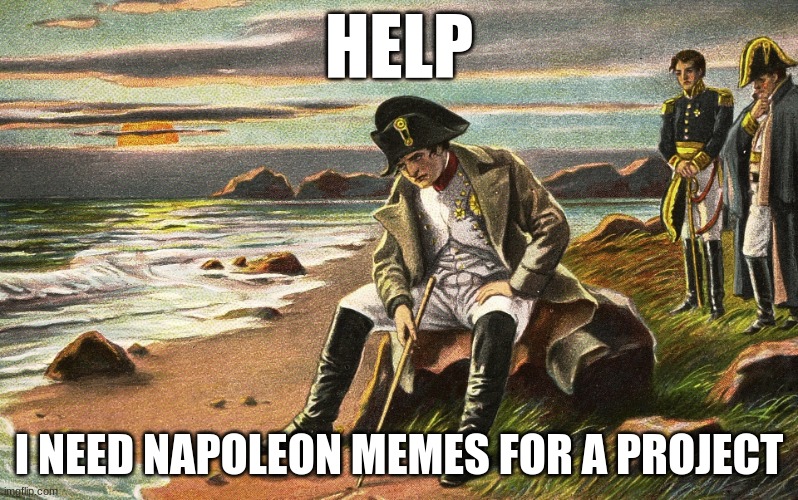 help | HELP; I NEED NAPOLEON MEMES FOR A PROJECT | image tagged in napoleon | made w/ Imgflip meme maker