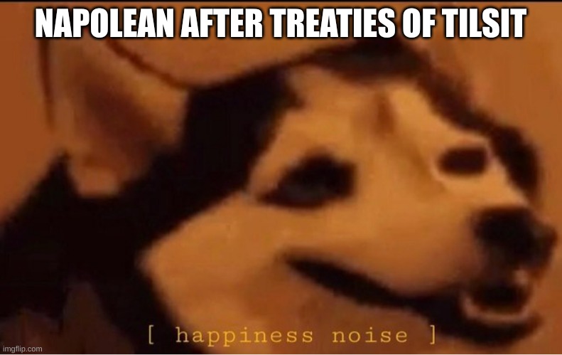happines noise | NAPOLEAN AFTER TREATIES OF TILSIT | image tagged in happines noise | made w/ Imgflip meme maker