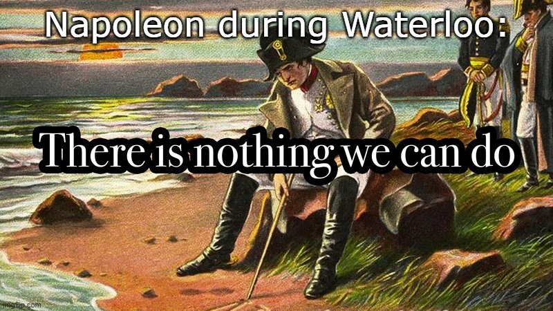 There is nothing we can do | Napoleon during Waterloo: | image tagged in there is nothing we can do | made w/ Imgflip meme maker