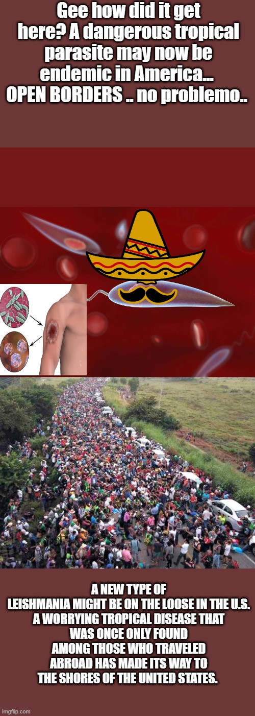 OPEN BORDERS are pure insanity.. | Gee how did it get here? A dangerous tropical parasite may now be endemic in America...  OPEN BORDERS .. no problemo.. A NEW TYPE OF LEISHMANIA MIGHT BE ON THE LOOSE IN THE U.S.

A WORRYING TROPICAL DISEASE THAT WAS ONCE ONLY FOUND AMONG THOSE WHO TRAVELED ABROAD HAS MADE ITS WAY TO THE SHORES OF THE UNITED STATES. | image tagged in democrats,nwo,psychopaths and serial killers | made w/ Imgflip meme maker