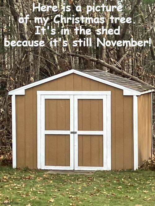 Thanksgivinig | Here is a picture of my Christmas tree. It's in the shed because it's still November! | image tagged in funny memes | made w/ Imgflip meme maker