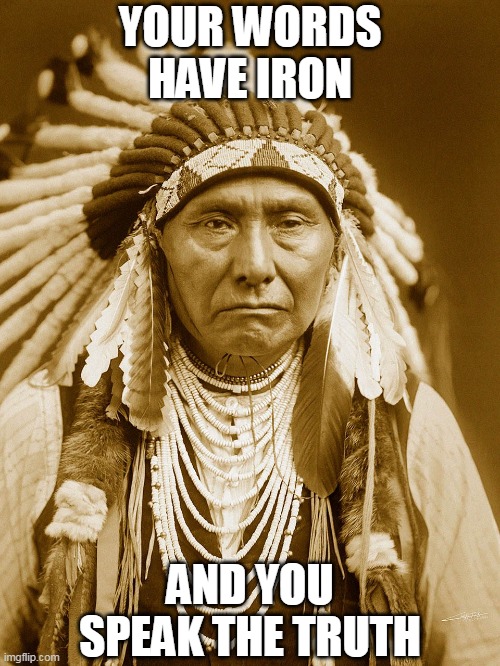 Native American Meme | YOUR WORDS HAVE IRON; AND YOU SPEAK THE TRUTH | image tagged in native american meme | made w/ Imgflip meme maker