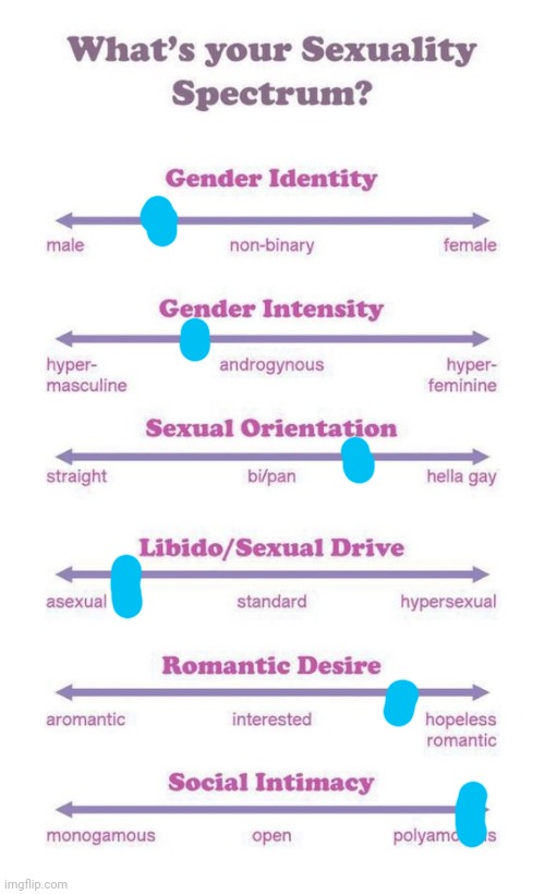 What's your sexuality spectrum? | image tagged in what's your sexuality spectrum | made w/ Imgflip meme maker