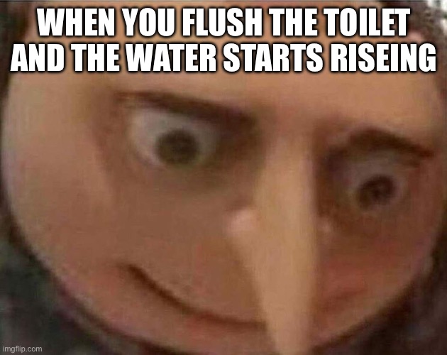Lol | WHEN YOU FLUSH THE TOILET AND THE WATER STARTS RISEING | image tagged in gru meme | made w/ Imgflip meme maker