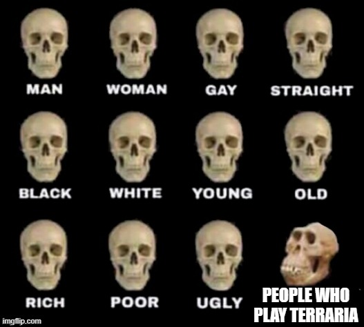 idiot skull | PEOPLE WHO PLAY TERRARIA | image tagged in idiot skull | made w/ Imgflip meme maker