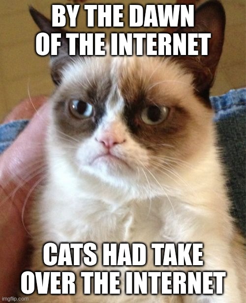 for like a few years | BY THE DAWN OF THE INTERNET; CATS HAD TAKE OVER THE INTERNET | image tagged in memes,grumpy cat | made w/ Imgflip meme maker