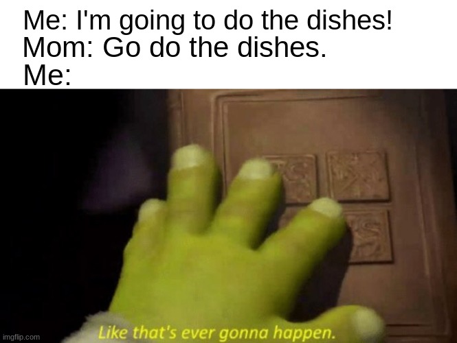 A Great Title | Me: I'm going to do the dishes! Mom: Go do the dishes. Me: | image tagged in like that's ever gonna happen | made w/ Imgflip meme maker