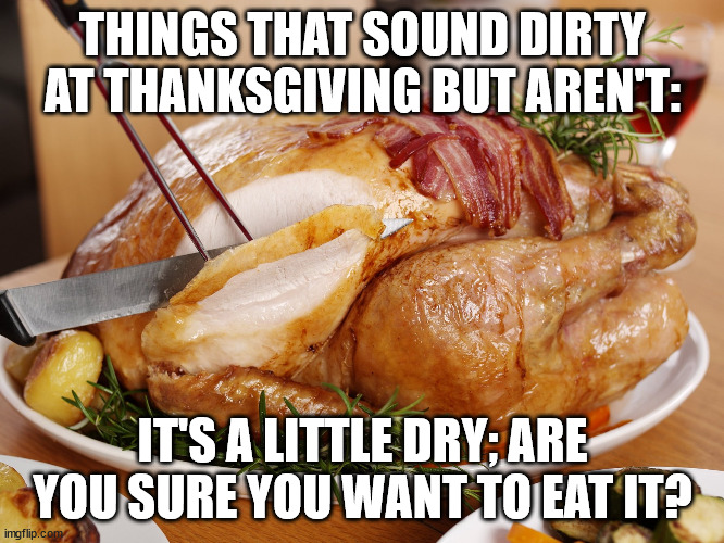 Things That Sound Dirty At Thanksgiving (Part 7) | THINGS THAT SOUND DIRTY AT THANKSGIVING BUT AREN'T:; IT'S A LITTLE DRY; ARE YOU SURE YOU WANT TO EAT IT? | image tagged in turkey carve,funny,humor,pun,double entendre | made w/ Imgflip meme maker