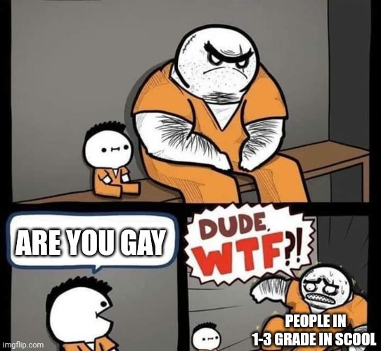 Dude wtf | ARE YOU GAY; PEOPLE IN 1-3 GRADE IN SCOOL | image tagged in dude wtf | made w/ Imgflip meme maker