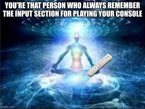 Gamer Genius | YOU'RE THAT PERSON WHO ALWAYS REMEMBER THE INPUT SECTION FOR PLAYING YOUR CONSOLE | image tagged in memes,funny,video games,gaming,tv | made w/ Imgflip meme maker