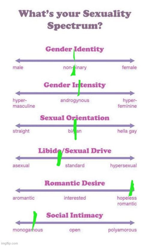 What's your sexuality spectrum? | image tagged in what's your sexuality spectrum | made w/ Imgflip meme maker