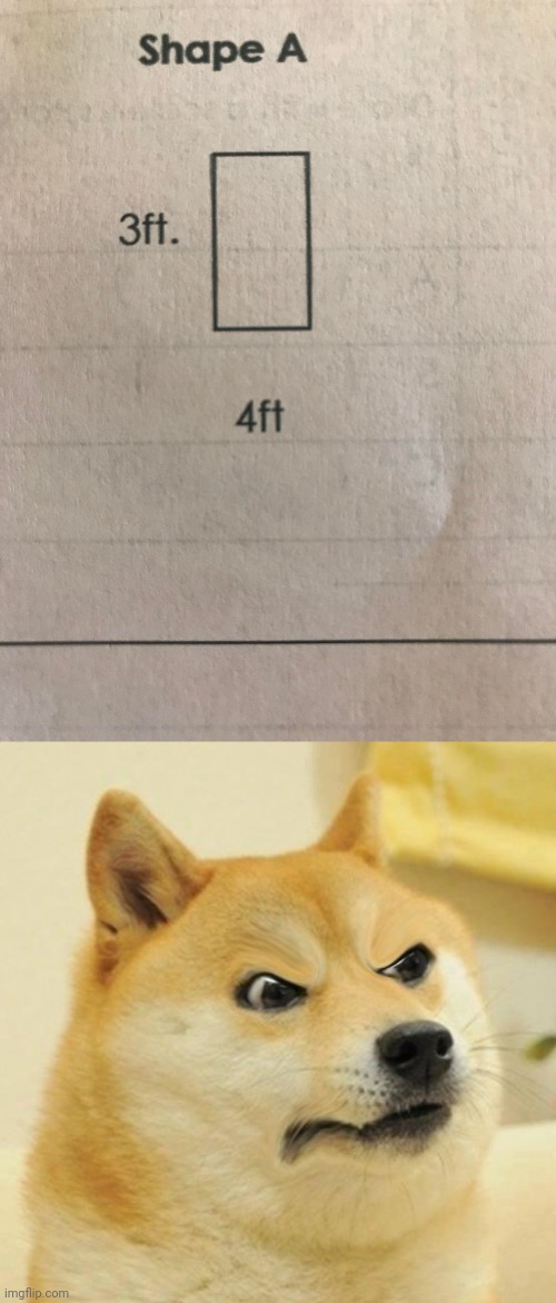 3ft, 4ft | image tagged in confused angery doge,math,rectangle,you had one job,memes,crappy design | made w/ Imgflip meme maker