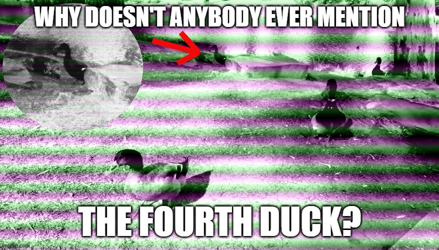 Fourth Duck Theory | WHY DOESN'T ANYBODY EVER MENTION; THE FOURTH DUCK? | image tagged in duck,ducks,conspiracy theory,funny | made w/ Imgflip meme maker