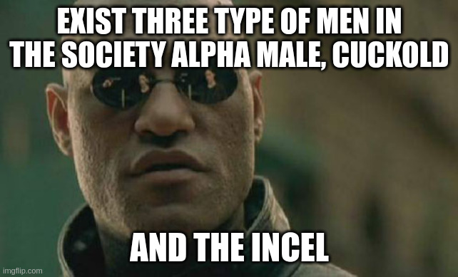 alpha male | EXIST THREE TYPE OF MEN IN THE SOCIETY ALPHA MALE, CUCKOLD; AND THE INCEL | image tagged in memes,matrix morpheus | made w/ Imgflip meme maker
