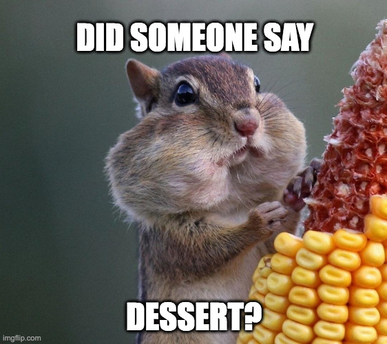Thanksgiving dessert squirrel | DID SOMEONE SAY; DESSERT? | image tagged in thanksgiving squirrel | made w/ Imgflip meme maker