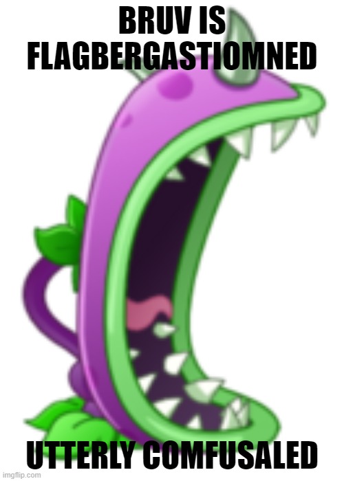 bruv is exasperated | BRUV IS FLAGBERGASTIOMNED; UTTERLY COMFUSALED | image tagged in chomper,pvz,plants vs zombies | made w/ Imgflip meme maker