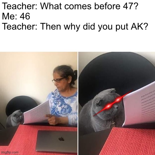 Would you make this joke? | Teacher: What comes before 47?
Me: 46
Teacher: Then why did you put AK? | image tagged in woman showing paper to cat,memes,ak47 | made w/ Imgflip meme maker